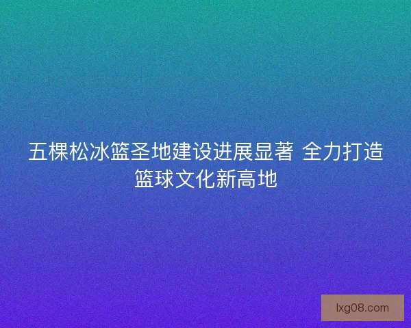 五棵松冰篮圣地建设进展显著 全力打造篮球文化新高地