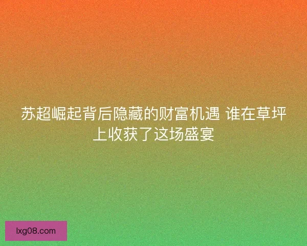 苏超崛起背后隐藏的财富机遇 谁在草坪上收获了这场盛宴 苏超崛起背后隐藏的财富机遇 谁在草坪上收获了这场盛宴